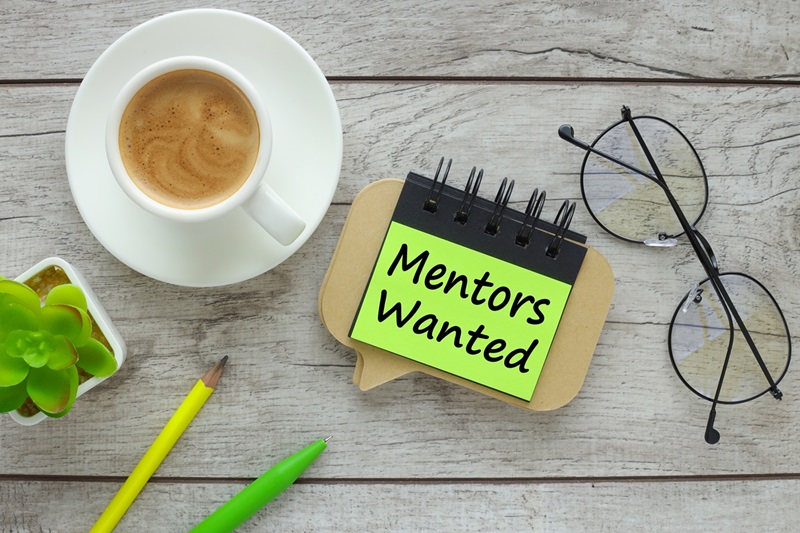 Mentors Wanted